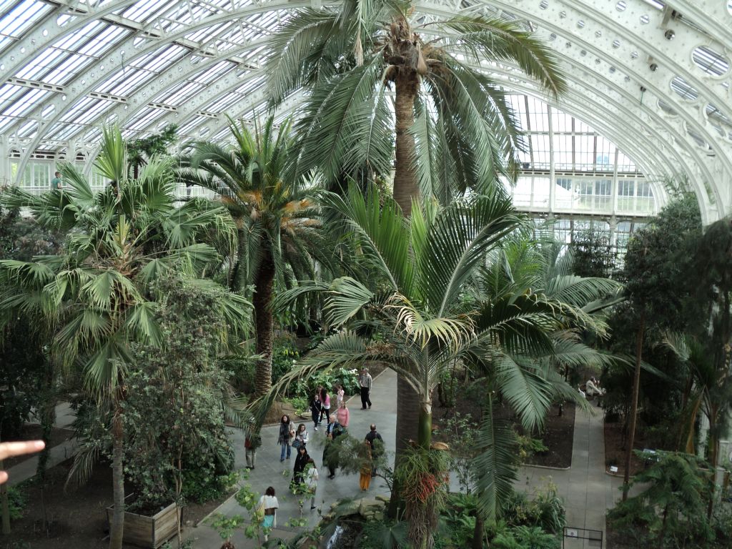 Plants in the Glasshouse