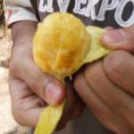 Eating the mango