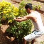 Ajay the Gardener