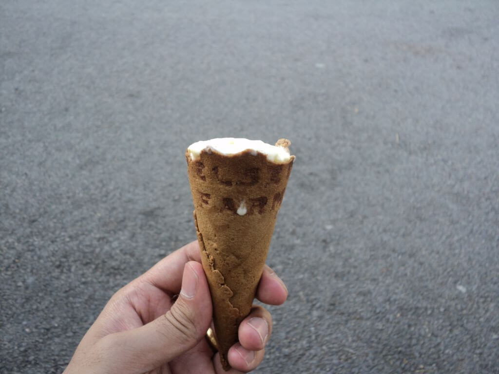 Helsett Farm Organic Ice Cream in a Cone