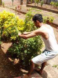 Ajay the Gardener
